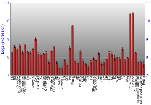 Expression graph