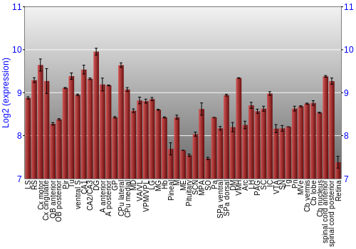 Expression graph