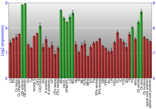 Multi-state expression graph