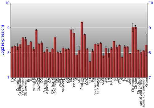 Expression graph