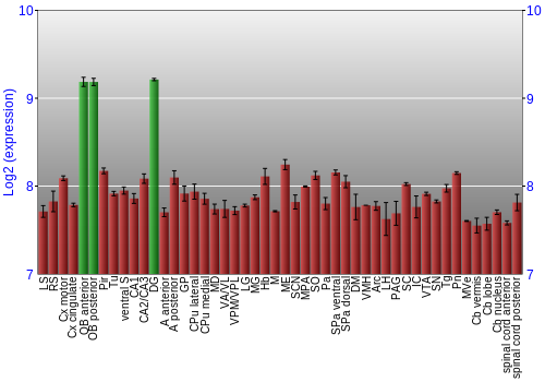 Multi-state expression graph