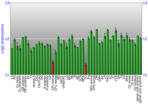 Multi-state expression graph