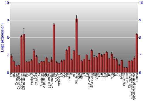 Expression graph