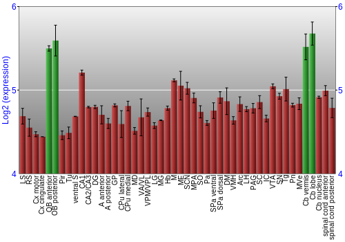 Multi-state expression graph