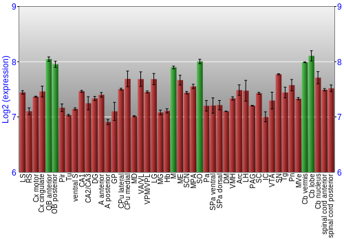 Multi-state expression graph