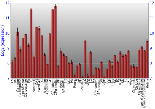 Expression graph