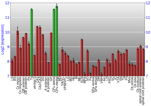 Multi-state expression graph
