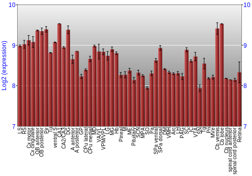 Expression graph