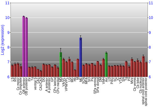 Multi-state expression graph