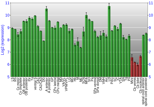 Multi-state expression graph