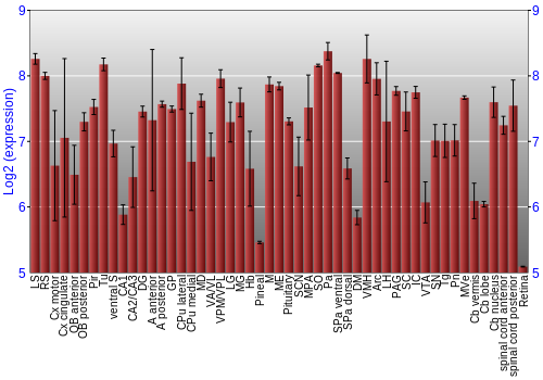 Expression graph