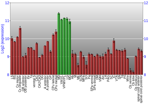 Multi-state expression graph