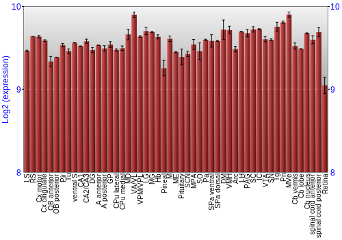 Expression graph