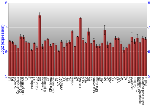 Expression graph