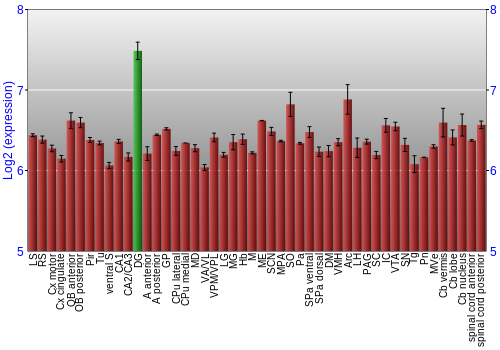 Multi-state expression graph
