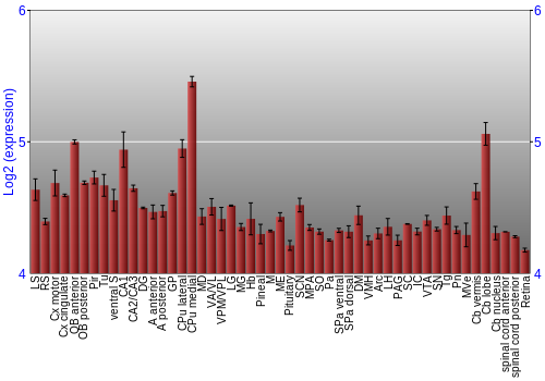Expression graph