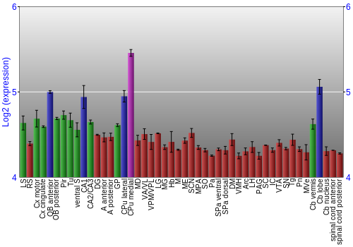 Multi-state expression graph