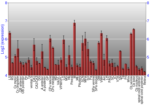 Expression graph