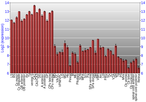 Expression graph