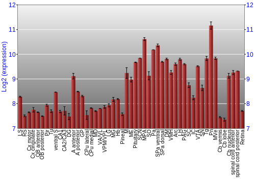 Expression graph