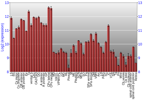 Expression graph