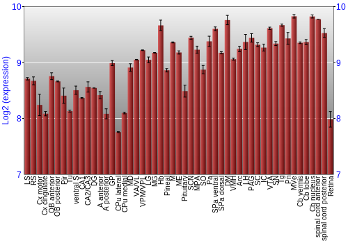 Expression graph