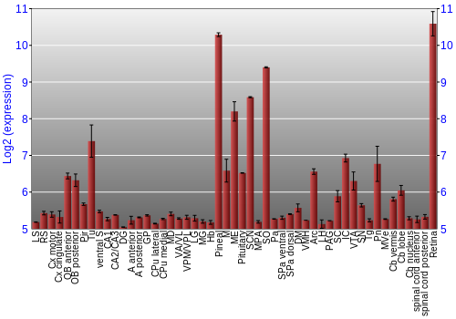 Expression graph