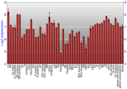 Expression graph