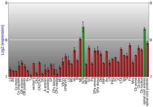Multi-state expression graph