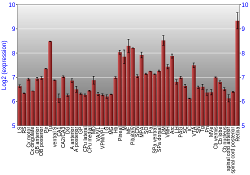 Expression graph
