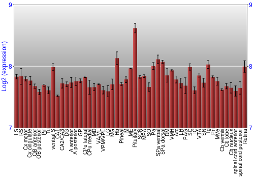 Expression graph