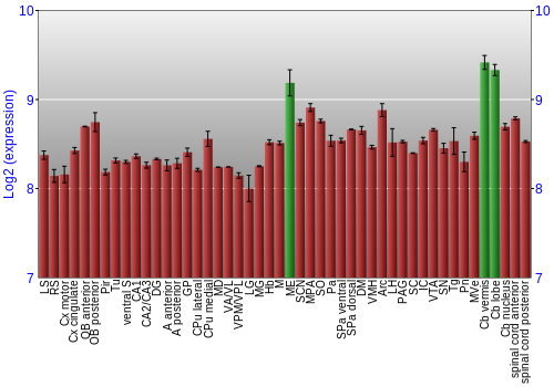 Multi-state expression graph