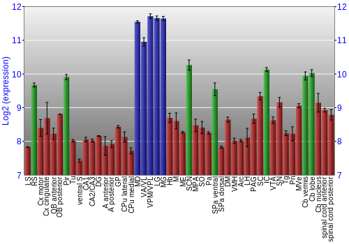 Multi-state expression graph