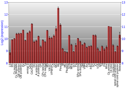 Expression graph