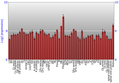 Expression graph