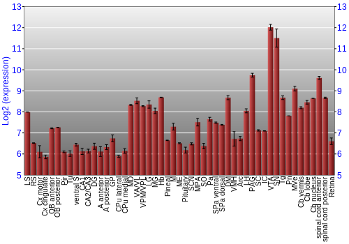 Expression graph