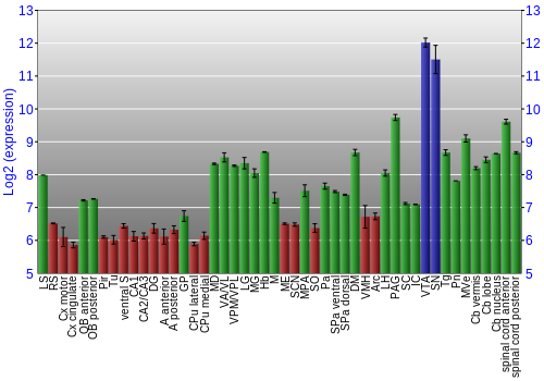 Multi-state expression graph