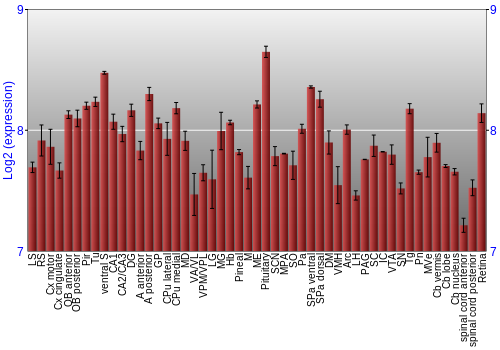 Expression graph