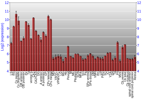 Expression graph