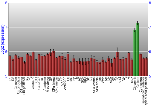 Multi-state expression graph