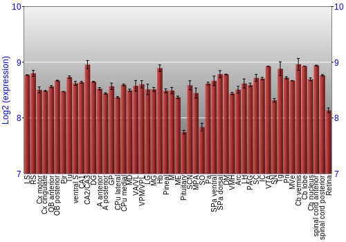 Expression graph