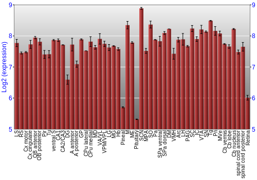 Expression graph