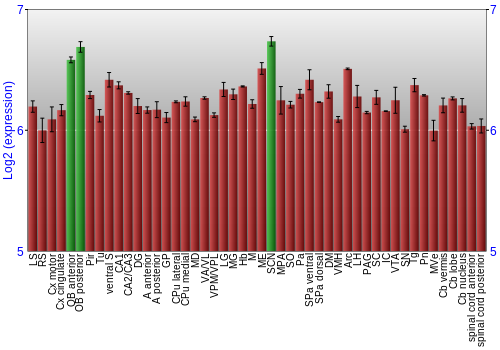 Multi-state expression graph