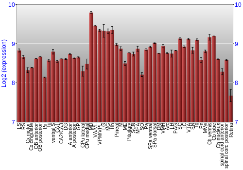 Expression graph