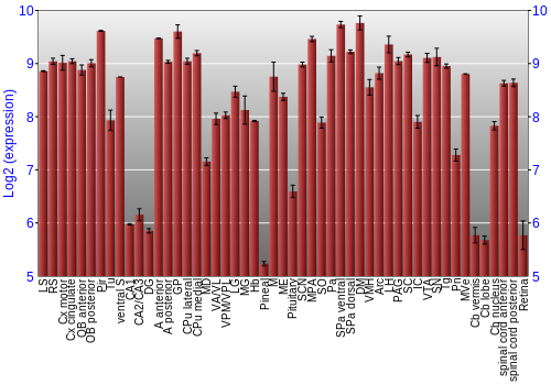 Expression graph
