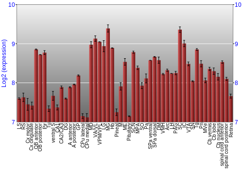 Expression graph