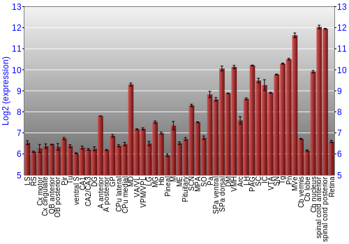 Expression graph