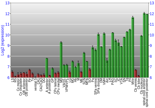 Multi-state expression graph