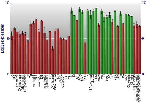 Multi-state expression graph