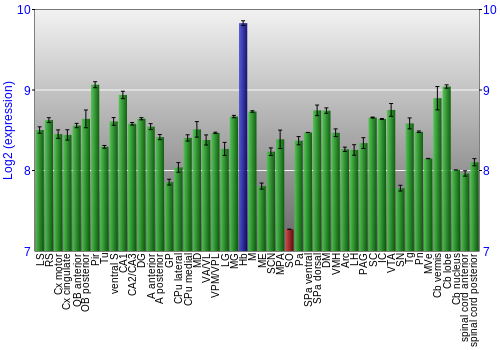 Multi-state expression graph